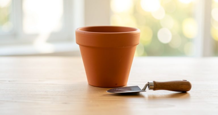 Fertilité : quand consulter ? Mon expérience de maman